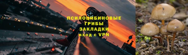 Альфа ПВП Елабуга