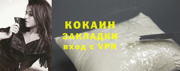 ПСИЛОЦИБИНОВЫЕ ГРИБЫ Елизово