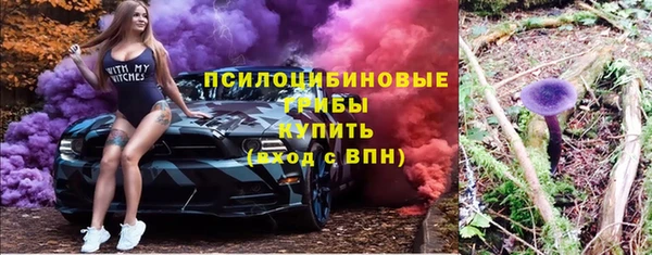 ПСИЛОЦИБИНОВЫЕ ГРИБЫ Елизово