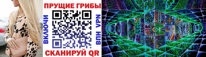 Псилоцибиновые грибы Psilocybe  Купить где  Горняк 