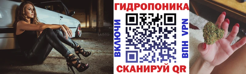Бошки марихуана планчик  Купить где  Горняк 